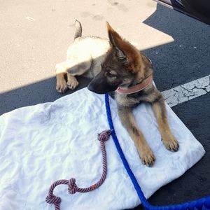 Meet your Posher, Kelley